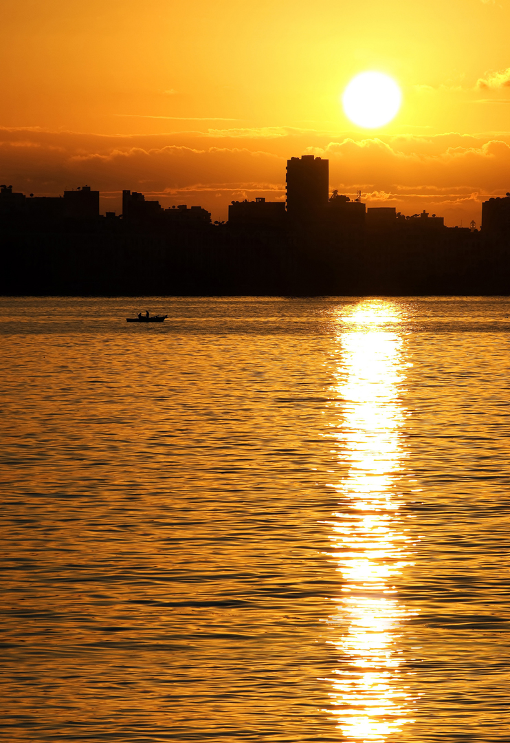alexandria-silhouette image Image